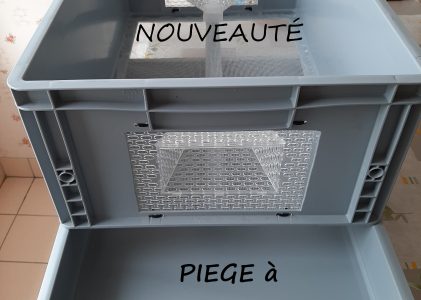 Un redoutable piège à frelon au dépôt !