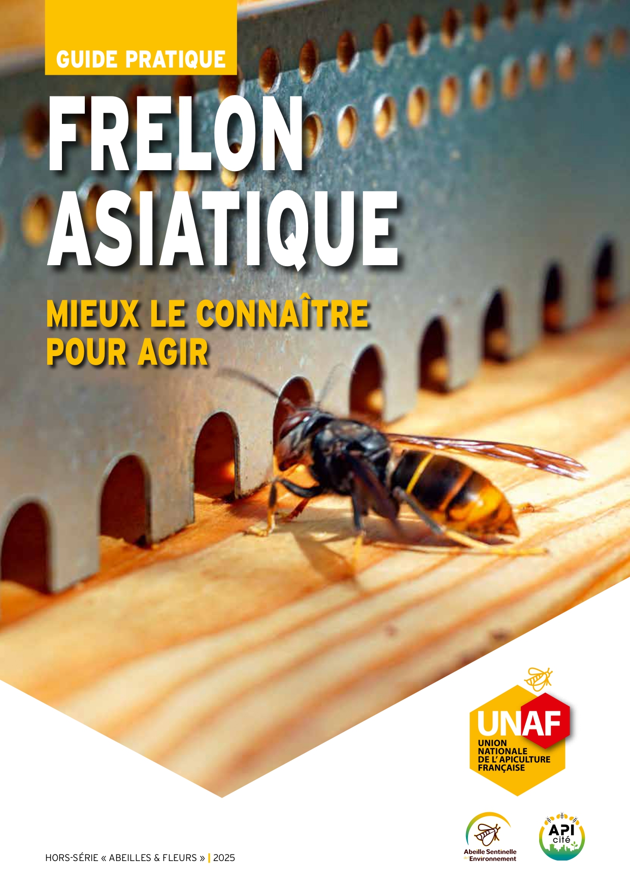 Nouveau guide UNAF sur le frelon asiatique